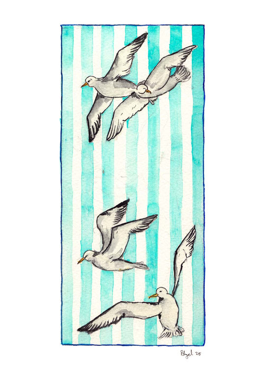 Seagulls
