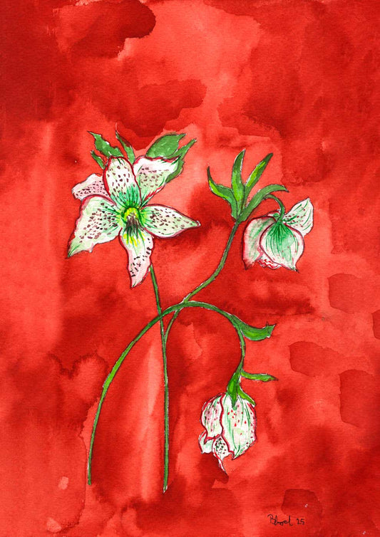 Floral no 3